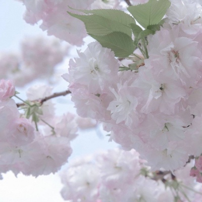 兽设山谷场景创作福瑞群